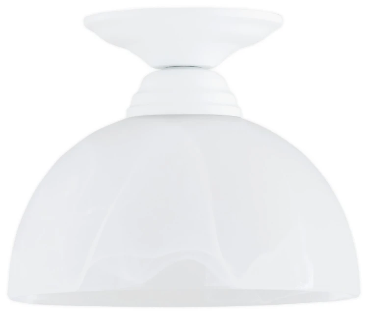 O3460 P1 BIA.jpg