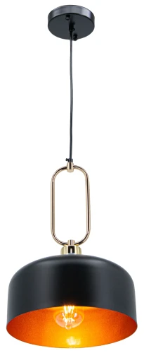Lampa wisząca NEXO 1xE27 Elem 7895/1 BL TR łączy czarny metalowy klosz ze złotym wnętrzem. Idealna nad stół, wyspę lub barek. Szerokość 27 cm i regulowana wysokość 41–120 cm ułatwiają dopasowanie do wnętrza.