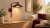 Lampa ścienna LUME burgund TK-Lighting 11693 podkreśli styl nowoczesnego wnętrza. Metalowy klosz kieruje światło w dół. GX53 w komplecie, 3000 K, 560 lm. Wymiary 32 × 23 × 30,5 cm, zasilanie 230 V, ochrona IP20.