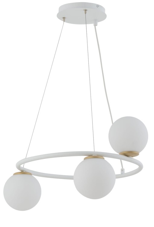 33384 GAMA KOŁO 3 biały.jpg