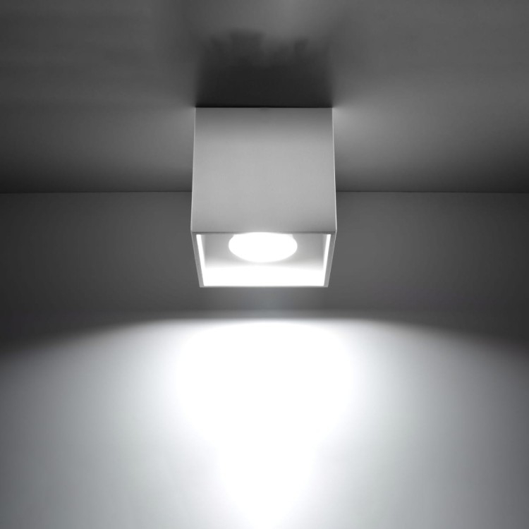 e838006f184d6847ef77978770aa87e2