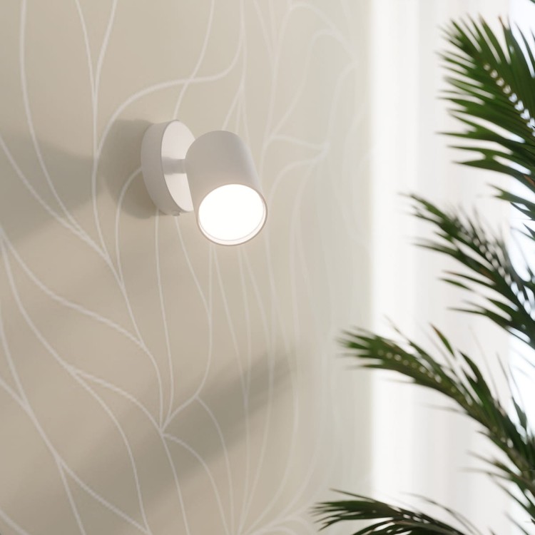 ea8955d61348fea2b4054eda456cab9c