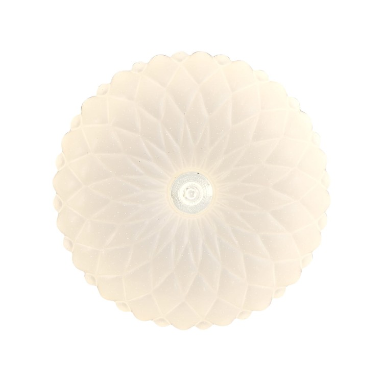 PLF-53749-M-CL_x1.jpg