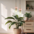 Lampa sufitowa MOLLY ML1824 – złoto, zieleń, róż | Nowoczesny design + regulowana wysokość