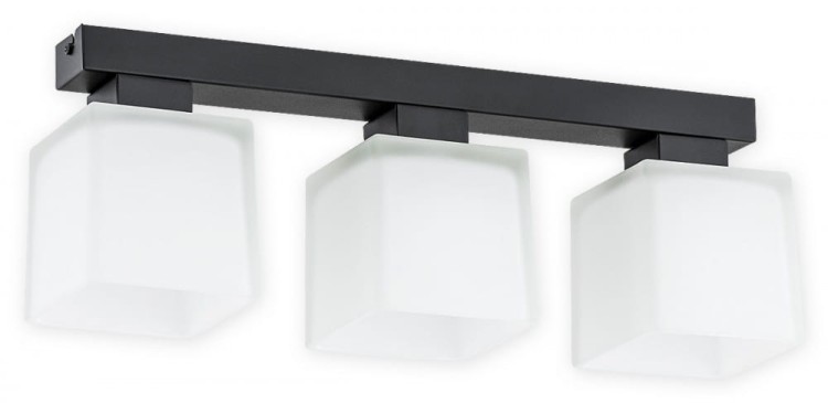 Nowoczesna lampa sufitowa z metalu i szkła w kolorze czarny mat z białym, półprzezroczystym kloszem. Idealna do przedpokoju, korytarza lub sypialni. Stylowa, kompaktowa i funkcjonalna – pasuje do wnętrz w stylu loft, modern i minimalistycznym