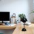 Lampka nocna COSTA Black ML2271 Milagro łączy styl retro z nowoczesnością. Posiada wbudowany akumulator USB-C, dotykowy włącznik, regulację barwy światła 3000K–6000K i ściemnianie. Idealna do sypialni, biura, restauracji czy hotelu