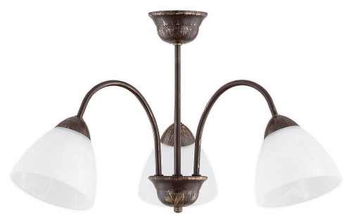 Stylowa lampa sufitowa Frida Lemir O3443 W3 BR łączy klasyczny design z funkcjonalnością. Trzy punkty światła E27 zapewniają dobre oświetlenie wnętrza, a eleganckie brązowe wykończenie podkreśla przytulny charakter aranżacji.