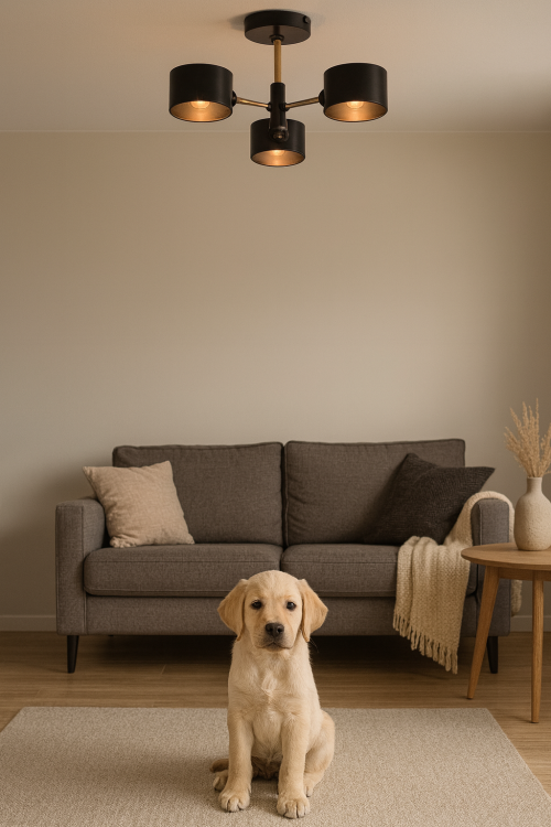 Nowoczesna lampa VITO 3xE27 1097/3B BL TR wyróżnia się czarną matową oprawą i złotymi akcentami. Zapewnia jasne, efektowne oświetlenie i świetnie sprawdza się w salonie, kuchni i jadalni. Trwała, elegancka, idealna do wnętrz modern.