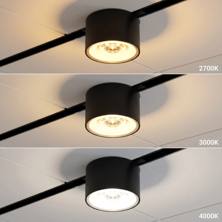 Nowoczesny system szynowy 48V LED 7W to idealne rozwiązanie do oświetlenia akcentowego. Strumień 420 lm, zmienna barwa światła oraz funkcja ściemniania pozwalają dopasować światło do każdego wnętrza.