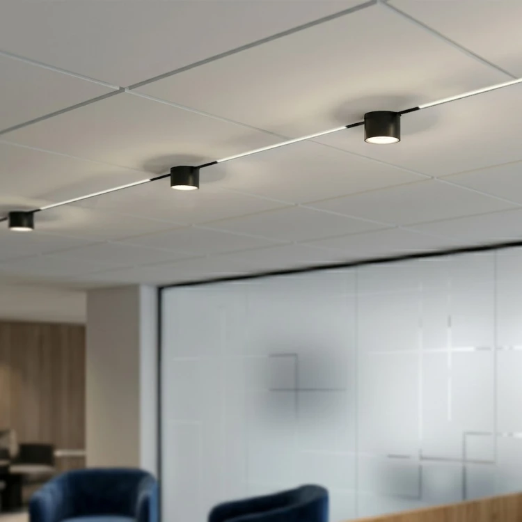 Czarny system szynowy LED 48V 7W 420 lm zapewnia precyzyjne oświetlenie dzięki kątowi 24°. Regulacja barwy światła oraz możliwość ściemniania pozwalają stworzyć idealną atmosferę w domu lub biurze.