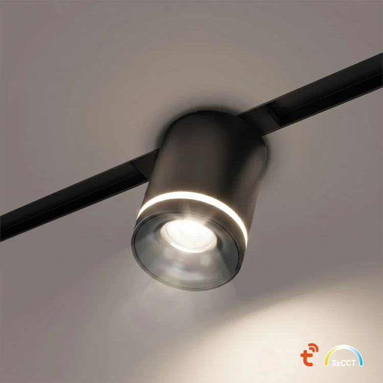 Downlight LED 48V 6W Milagro ML2647 to nowoczesne oświetlenie punktowe do systemu Magnetic Track 10 mm. Oferuje 360 lm, kąt 24° oraz regulację barwy 2700–4000K i ściemnianie dla maksymalnej wygody.