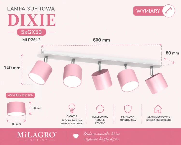Lampa sufitowa DIXIE 5xGX53 to praktyczne rozwiązanie do pokoju dziecka i nastolatki. Regulowane reflektorki, wymienne źródła światła oraz modne pastelowe wykończenie sprawiają, że plafon jest funkcjonalny i dekoracyjny.