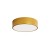 Lampa-sufitowa-Plafon-LED-CLEO-300-24W-Zloty_5B51005D_1200.jpg