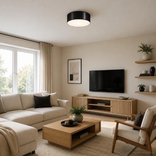 Nowoczesny plafon ARENA o średnicy 35 cm posiada dwie oprawki E27. Czarny klosz z PVC efektownie kontrastuje z jasnym sufitem. Lampa sprawdzi się w salonie, kuchni, sypialni, przedpokoju lub domowym biurze.