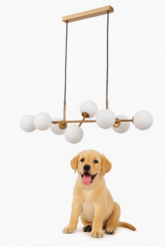 Lampa wisząca MIRELLIO Italux PND-66463-8-HB w kolorze mosiądzu miodowego. Osiem białych matowych kul, 8xG9, długość 82 cm i wysokość do 150 cm. Eleganckie oświetlenie nad stół, wyspę kuchenną lub barek.