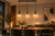 SOPHIA 11147 to elegancka lampa sufitowa 3xE14 z trzema ryflowanymi kloszami o różnych kształtach. Koniakowe szkło, zielone kule i czarna konstrukcja pasują do kuchni, salonu oraz jadalni