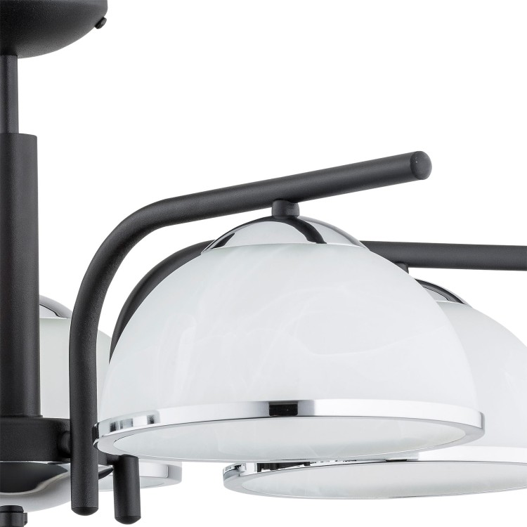 O2925 W5 CZA + CH detail.jpg